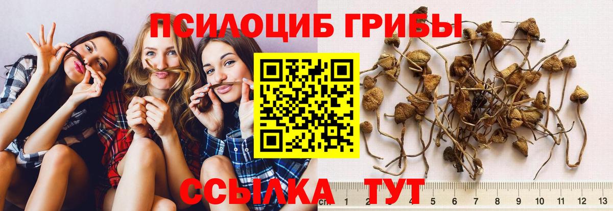 Псилоцибиновые грибы Cubensis  Вход с VPN  Каспийск 