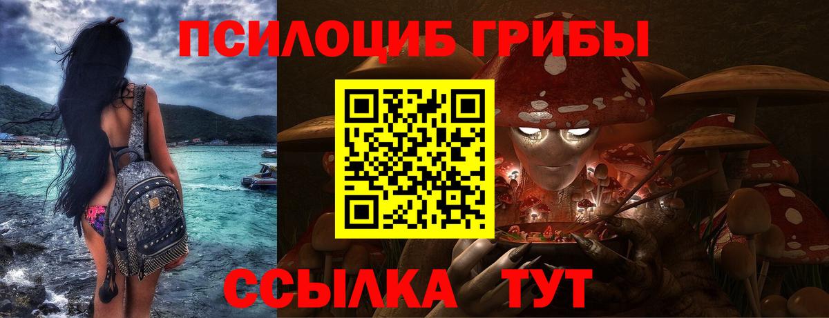 Галлюциногенные грибы прущие грибы Каспийск
